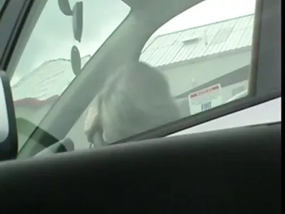 Blond tjej  strippar och onanerar på den offentliga platsen